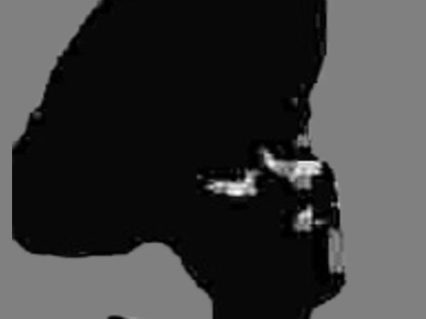 woody toy story friend inside me mascotte cowboy far west moupe monstre mikey v pete