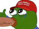 pepe-frog-grenouille-suce-trump-maga
