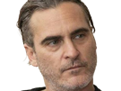 joaquim-leaf-phoenix-acteur-homme-americain-oscar-bec-de-lievre-joaquin-annees-2020-cinquantenaire-cinquantaine