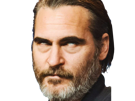 joaquim-leaf-phoenix-acteur-homme-americain-oscar-bec-de-lievre-joaquin-annees-2020-cinquantenaire-cinquantaine