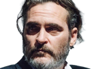joaquim-leaf-phoenix-acteur-homme-americain-oscar-bec-de-lievre-joaquin-annees-2020-cinquantenaire-cinquantaine