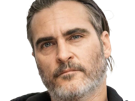 joaquim-leaf-phoenix-acteur-homme-americain-oscar-bec-de-lievre-joaquin-annees-2020-cinquantenaire-cinquantaine