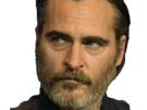 joaquim-leaf-phoenix-acteur-homme-americain-oscar-bec-de-lievre-joaquin-annees-2020-cinquantenaire-cinquantaine