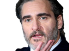 joaquim-leaf-phoenix-acteur-homme-americain-oscar-bec-de-lievre-joaquin-annees-2020-cinquantenaire-cinquantaine