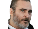 joaquim-leaf-phoenix-acteur-homme-americain-oscar-bec-de-lievre-joaquin-annees-2020-cinquantenaire-cinquantaine