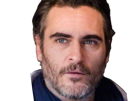 joaquim-leaf-phoenix-acteur-homme-americain-oscar-bec-de-lievre-joaquin-annees-2020-cinquantenaire-cinquantaine
