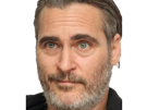 joaquim-leaf-phoenix-acteur-homme-americain-oscar-bec-de-lievre-joaquin-annees-2020-cinquantenaire-cinquantaine