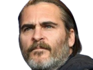 joaquim-leaf-phoenix-acteur-homme-americain-oscar-bec-de-lievre-joaquin-annees-2020-cinquantenaire-cinquantaine