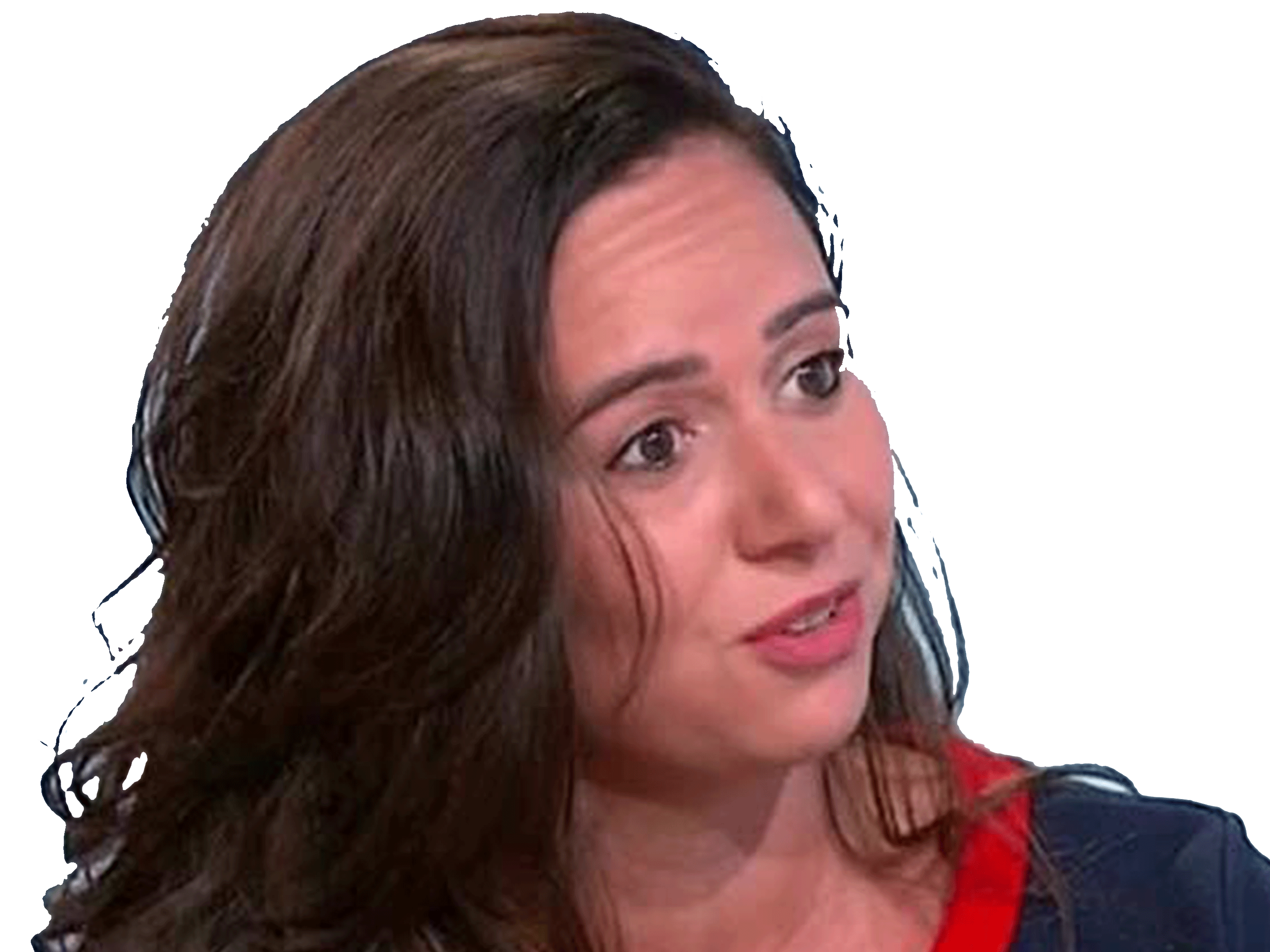 sarah knafo election zemmour fail gene ahi