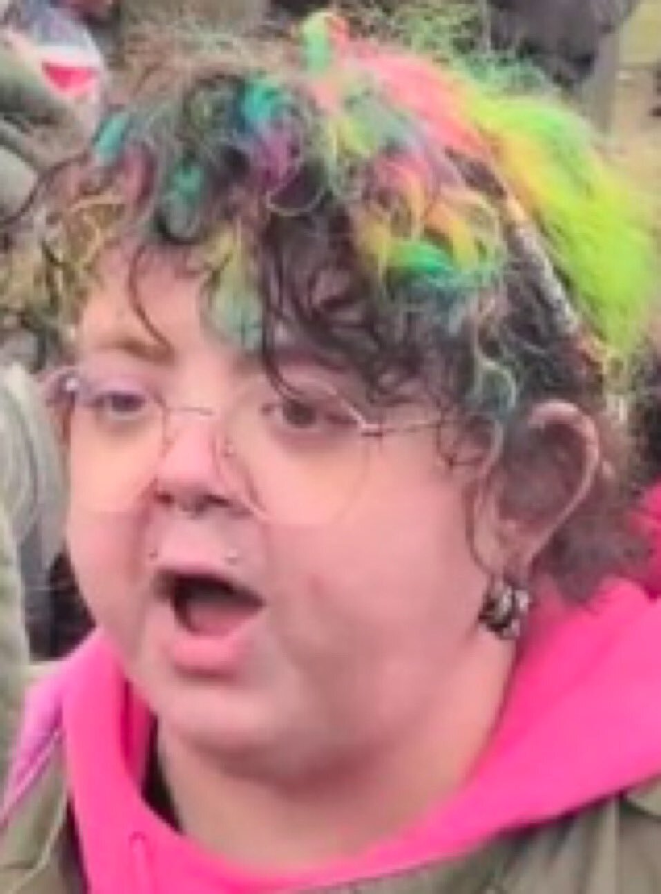 gauchiste gaucho lfi femme meuf fille teen cheveux bleu rose vert moche grosse cassos gauchiasse