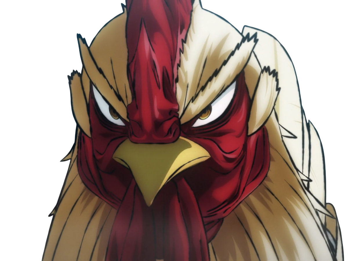 niwatori fighter rooster coq de baston keiji