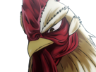 niwatori-fighter-rooster-coq-de-baston-keiji