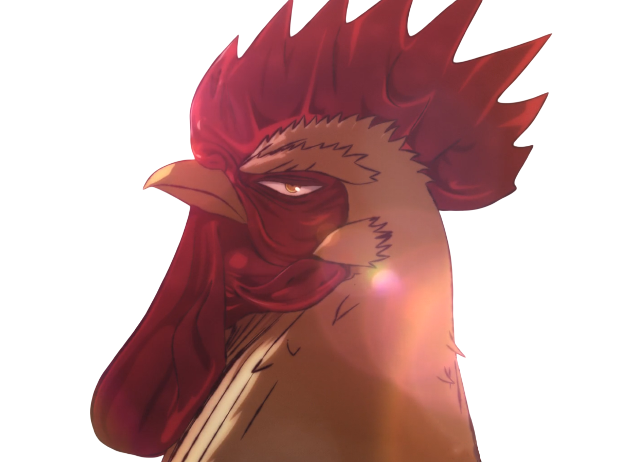 niwatori fighter rooster coq de baston keiji