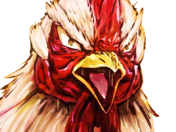 niwatori fighter rooster coq de baston keiji
