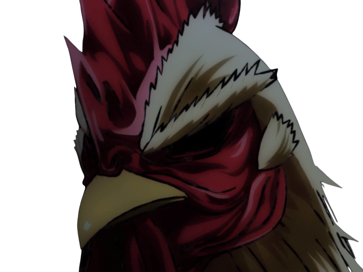 niwatori fighter rooster coq de baston keiji