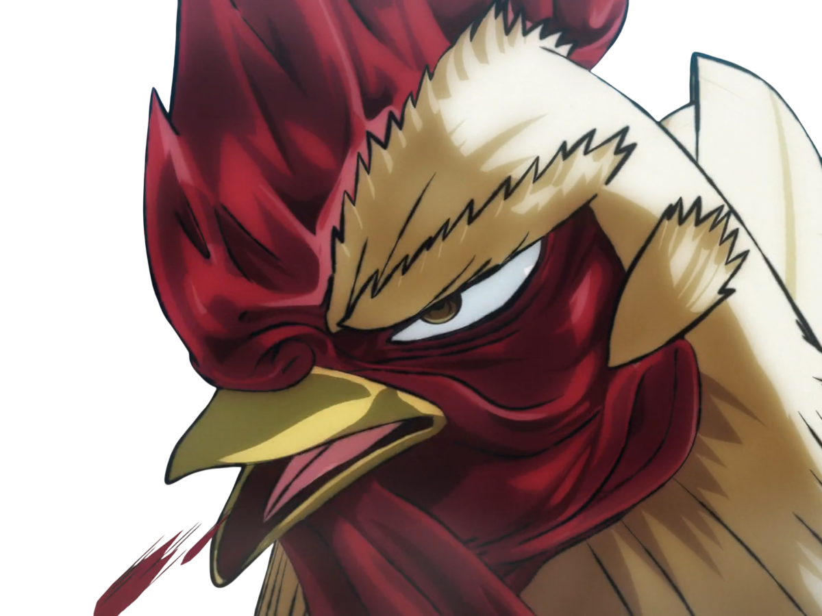 niwatori fighter rooster coq de baston keiji