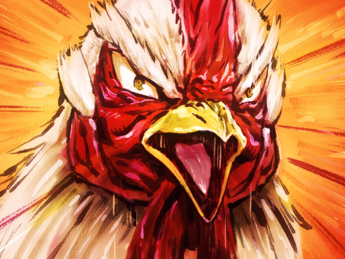 niwatori fighter rooster coq de baston keiji