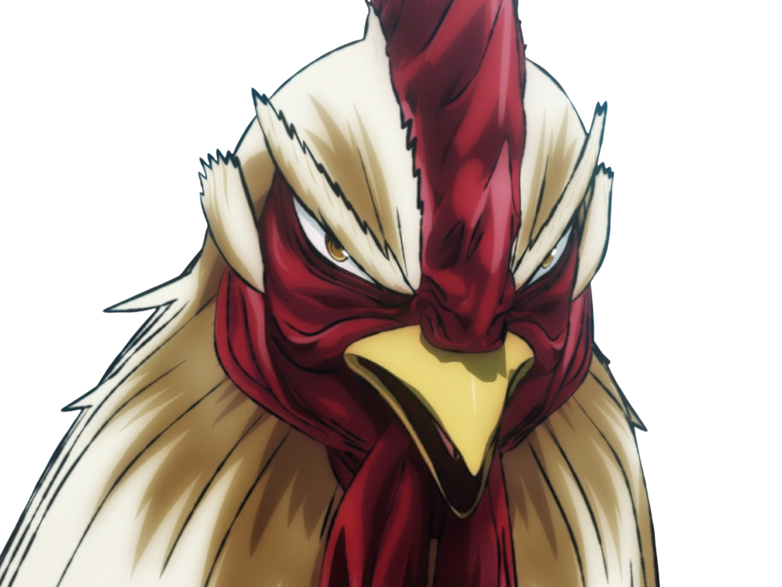 niwatori fighter rooster coq de baston keiji