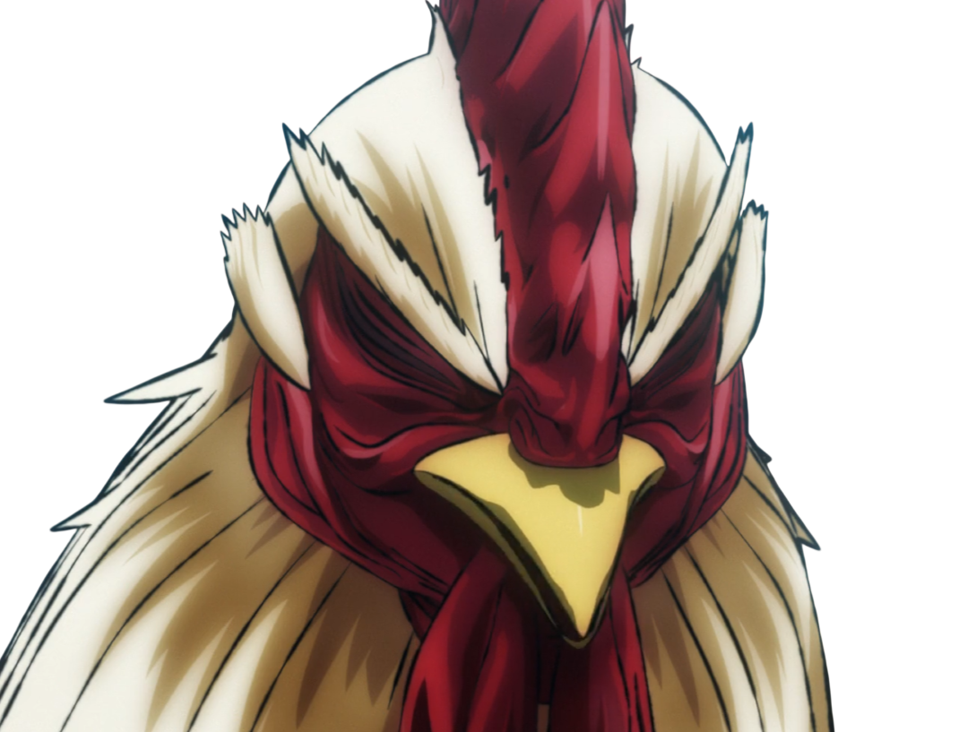 niwatori fighter rooster coq de baston keiji