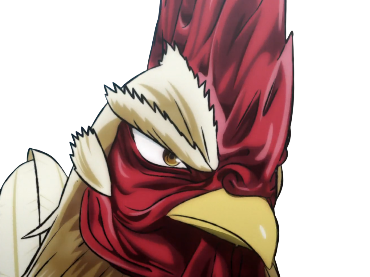 niwatori fighter rooster coq de baston keiji
