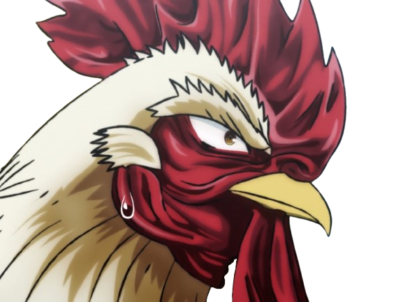 niwatori fighter rooster coq de baston keiji