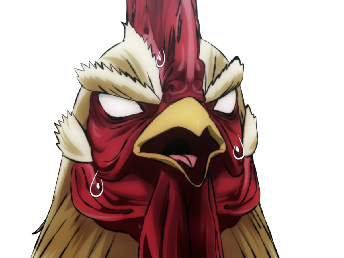niwatori fighter rooster coq de baston keiji