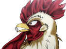 niwatori-fighter-rooster-coq-de-baston-keiji