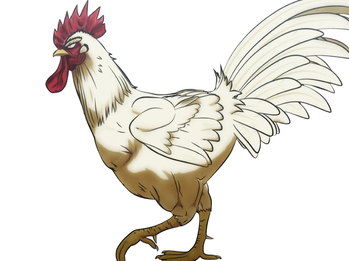 niwatori fighter rooster coq de baston keiji