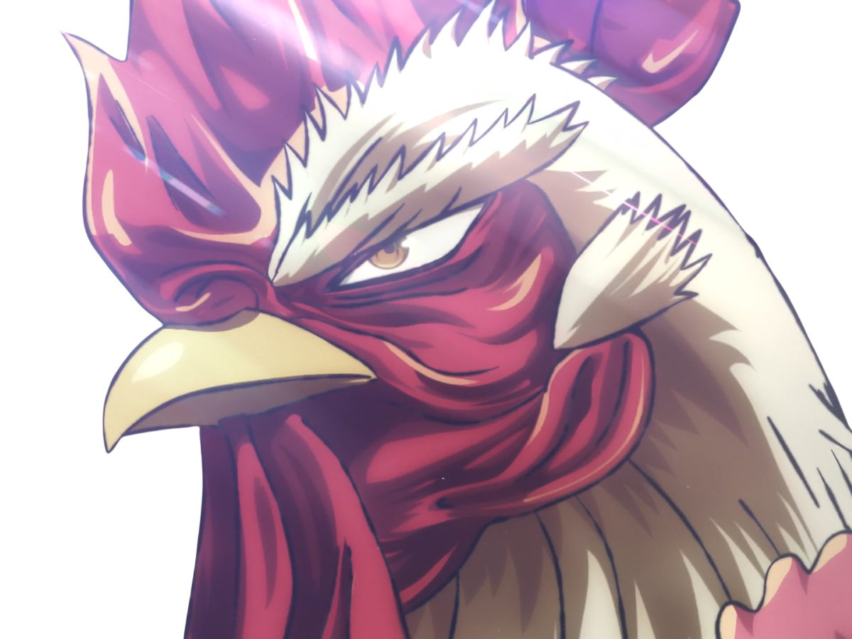 niwatori fighter rooster coq de baston keiji