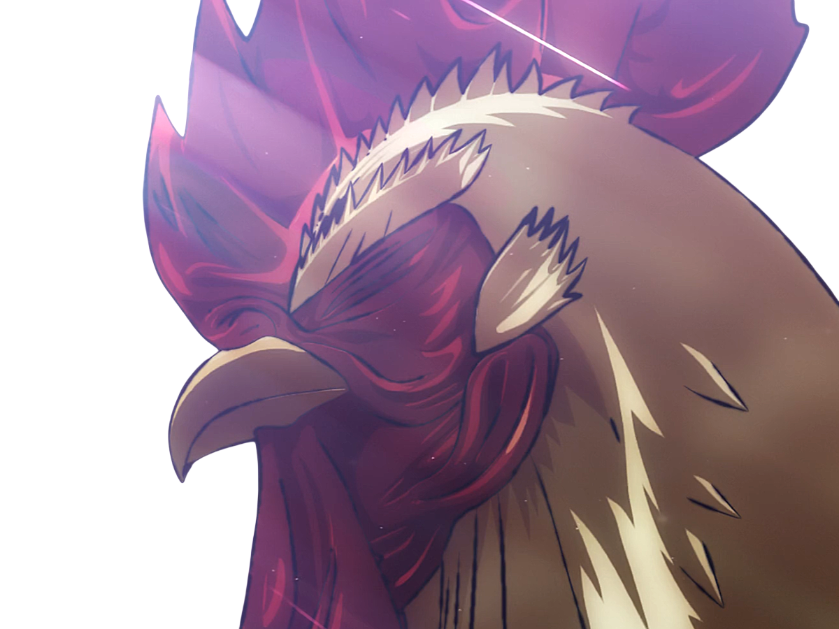 niwatori fighter rooster coq de baston keiji