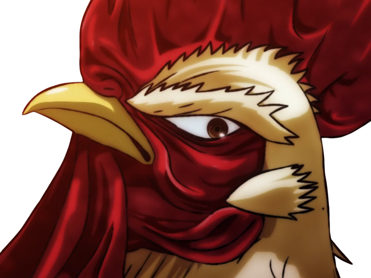 niwatori fighter rooster coq de baston keiji
