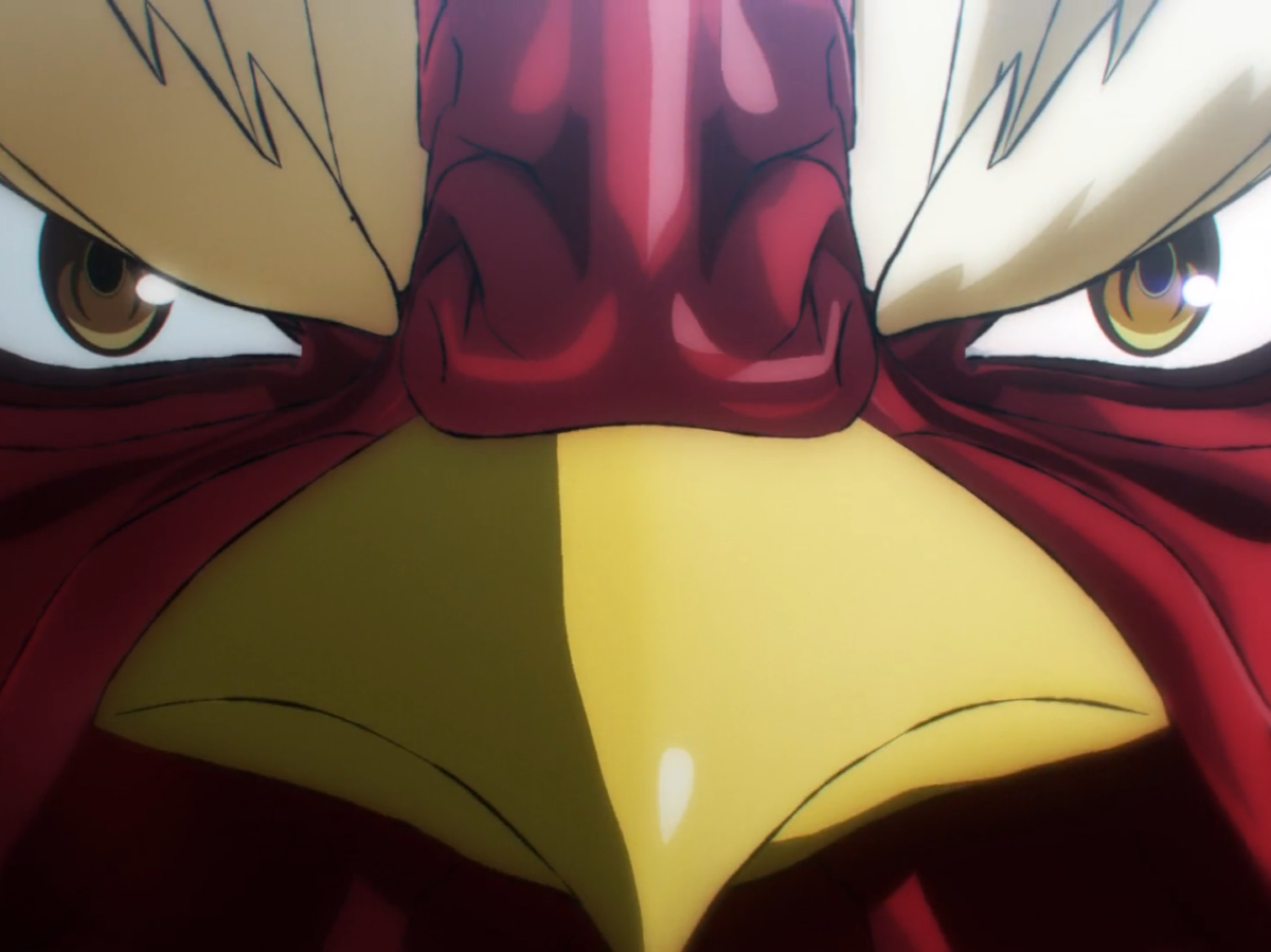 niwatori fighter rooster coq de baston keiji