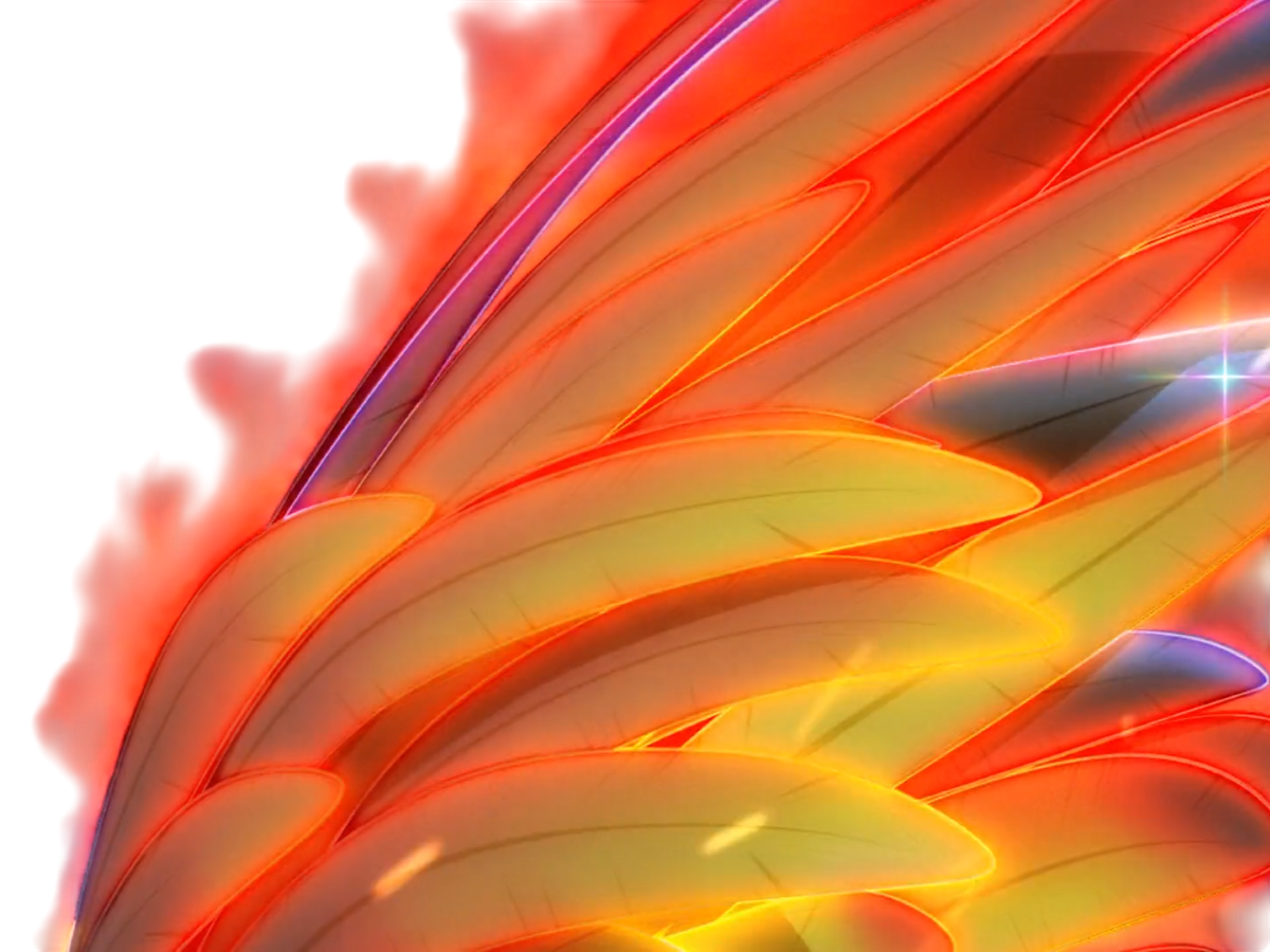 niwatori fighter rooster coq de baston keiji