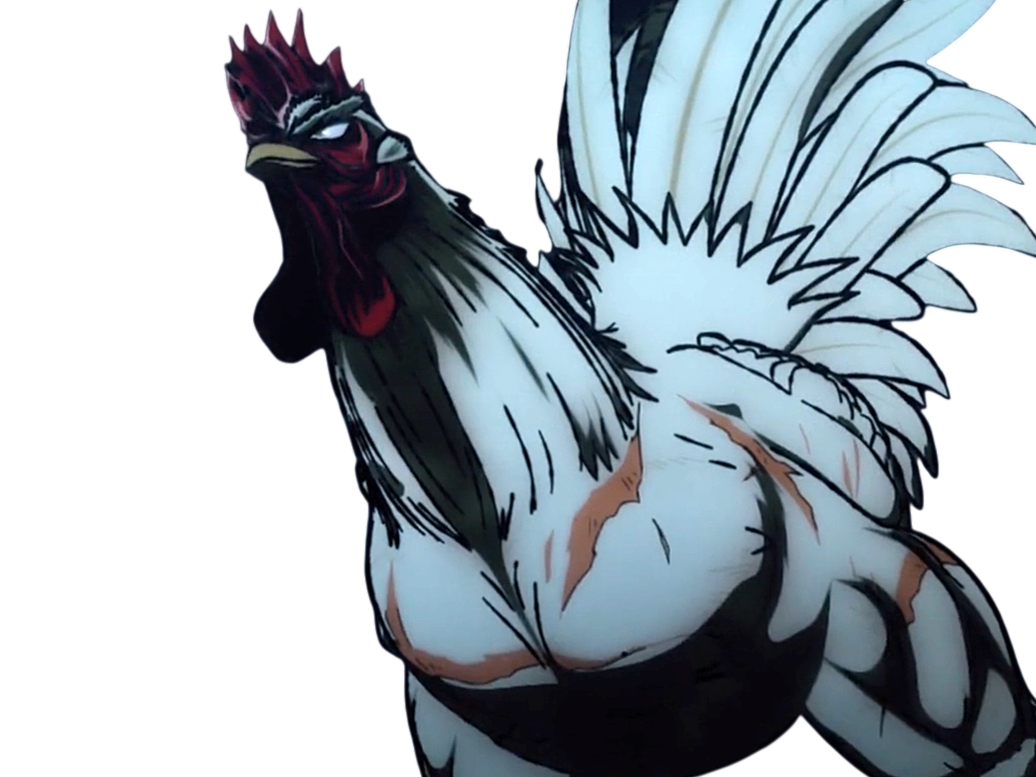 niwatori fighter rooster coq de baston keiji