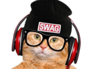 chat-casque-audio-swag-bonnet-musique-roux-lunettes