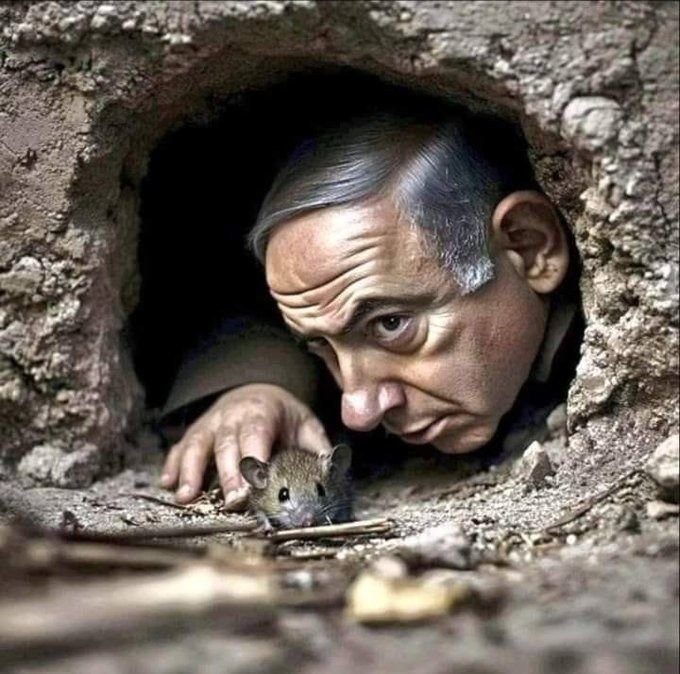 isr bibi joo juice kipa torah mossad shinbet baal sion zion shalom shabat 109 jaw