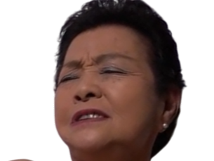 ogasawara yuko jav true waifu vieille japon japonaise kawaii