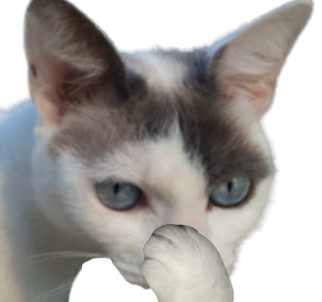 chat cat oups iladit secret silence discret dont reveal oupsent spoil