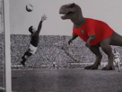 premiere-derniere-can-du-maroc-marocaine-dinosaure-dino-trex-t-rex-football-foot-noir-et-blanc