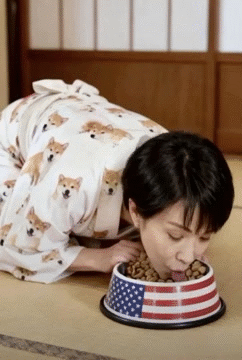 sana taka yen jap nipon pol pearl sushi pm banzai people valet traitor doggy perro