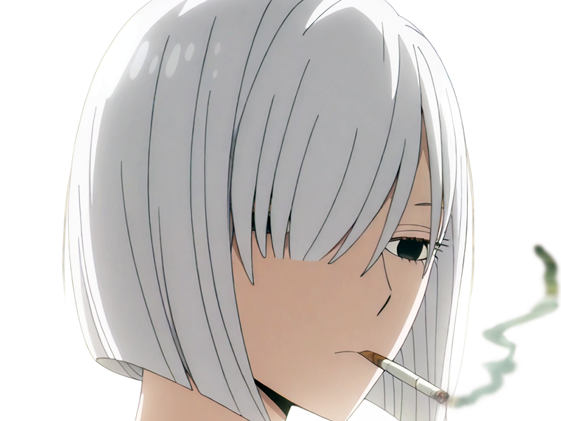 fiona frost nocturna nightfall spy x family anime manga femme espionne agent secret