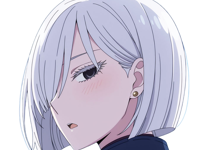 fiona frost nocturna nightfall spy x family anime manga femme espionne agent secret