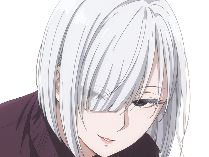 fiona frost nocturna nightfall spy x family anime manga femme espionne agent secret