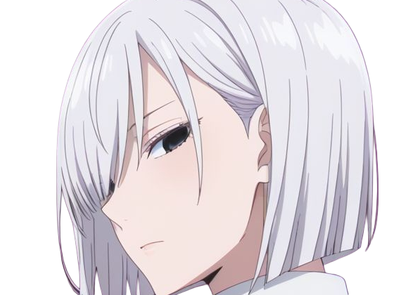 fiona frost nocturna nightfall spy x family anime manga femme espionne agent secret