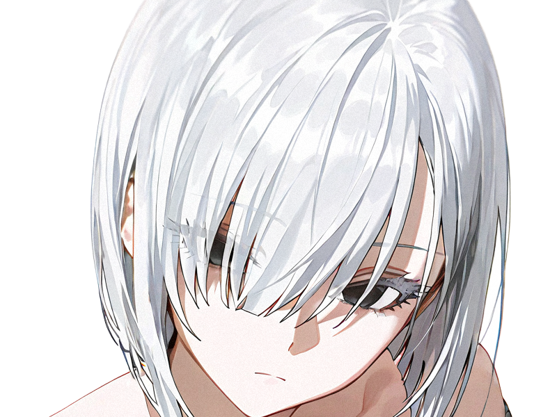 fiona frost nocturna nightfall spy x family anime manga femme espionne agent secret