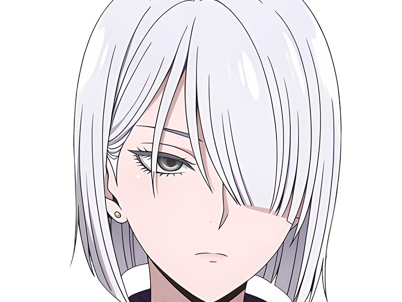 fiona frost nocturna nightfall spy x family anime manga femme espionne agent secret