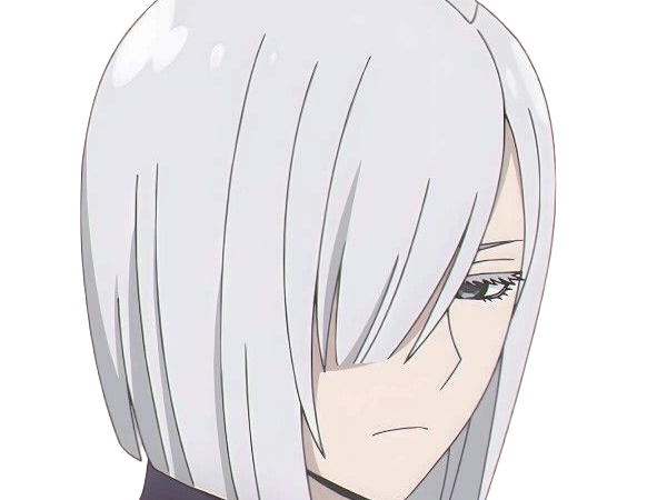 fiona frost nocturna nightfall spy x family anime manga femme espionne agent secret