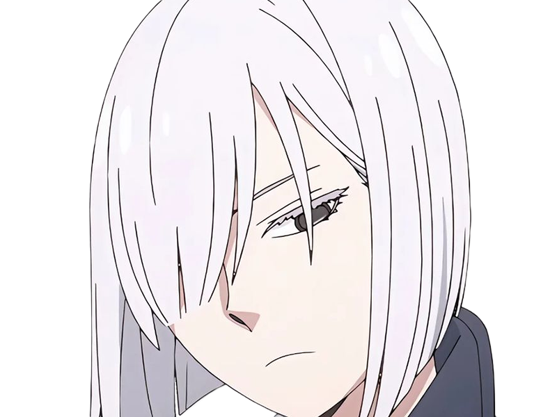 fiona frost nocturna nightfall spy x family anime manga femme espionne agent secret