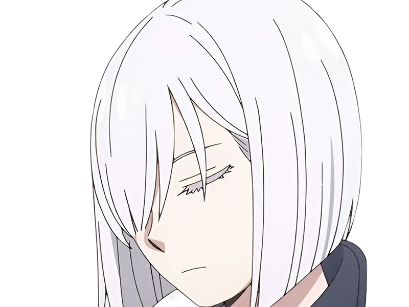 fiona frost nocturna nightfall spy x family anime manga femme espionne agent secret