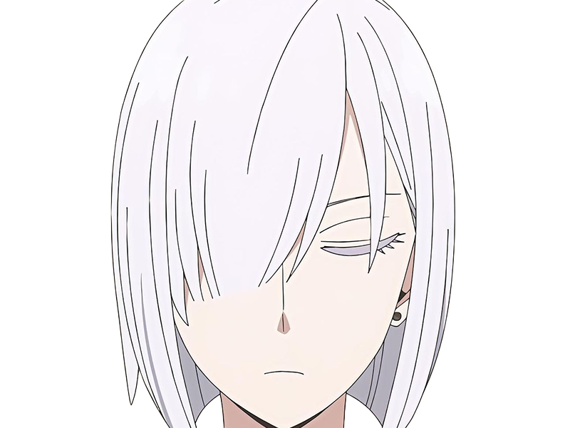 fiona frost nocturna nightfall spy x family anime manga femme espionne agent secret